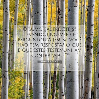 Picture 07 - Marcos 14:60 BSL - O sumo sacerdote se levantou no meio e perguntou - Bible Verse Picture