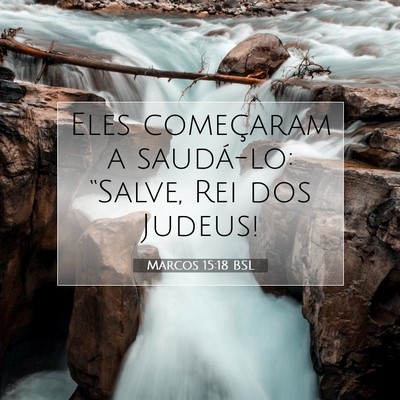 Picture 07 - Marcos 15:18 BSL - Eles começaram a saudá-lo: “Salve, Rei dos - Bible Verse Picture