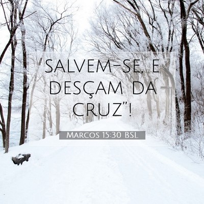 Picture 07 - Marcos 15:30 BSL - salvem-se, e desçam da - Bible Verse Picture