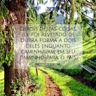 Picture 07 - Marcos 16:12 BSL - Depois destas coisas, ele foi revelado de outra - Bible Verse Picture