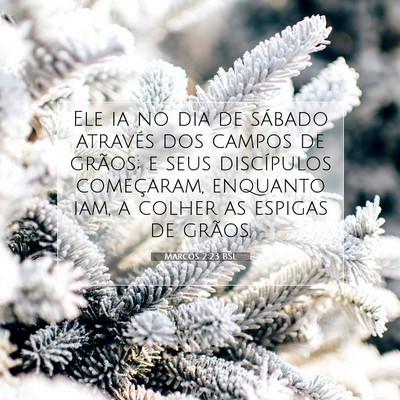 Picture 07 - Marcos 2:23 BSL - Ele ia no dia de sábado através dos campos de - Bible Verse Picture