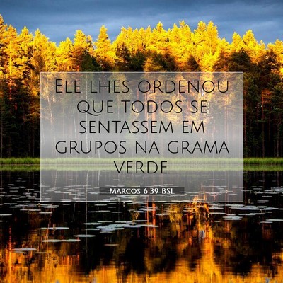 Picture 07 - Marcos 6:39 BSL - Ele lhes ordenou que todos se sentassem em grupos - Bible Verse Picture