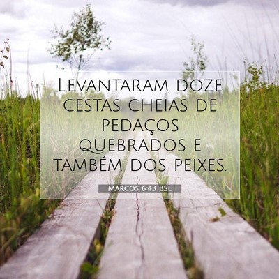Picture 07 - Marcos 6:43 BSL - Levantaram doze cestas cheias de pedaços - Bible Verse Picture