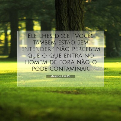 Picture 07 - Marcos 7:18 BSL - Ele lhes disse: “Vocês também estão sem - Bible Verse Picture