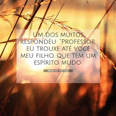 Picture 07 - Marcos 9:17 BSL - Um dos muitos respondeu: “Professor, eu trouxe - Bible Verse Picture