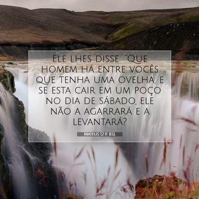 Picture 07 - Mateus 12:11 BSL - Ele lhes disse: “Que homem há entre vocês que - Bible Verse Picture