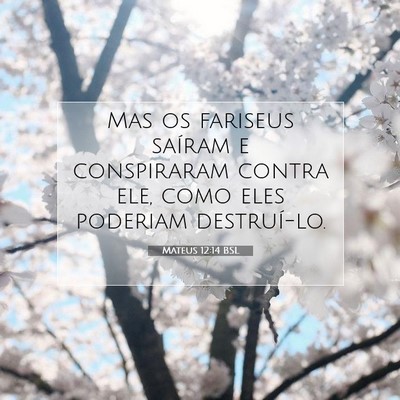 Picture 07 - Mateus 12:14 BSL - Mas os fariseus saíram e conspiraram contra ele, - Bible Verse Picture