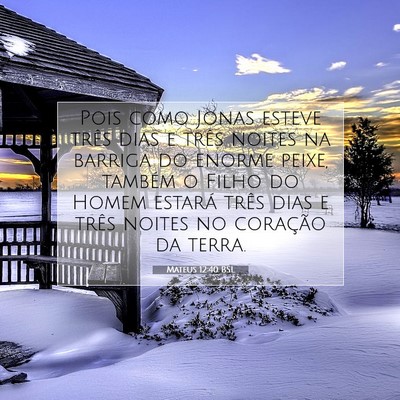 Picture 07 - Mateus 12:40 BSL - Pois como Jonas esteve três dias e três noites - Bible Verse Picture