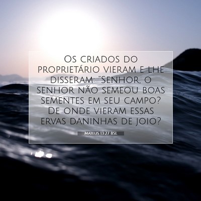 Picture 07 - Mateus 13:27 BSL - Os criados do proprietário vieram e lhe - Bible Verse Picture