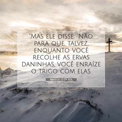 Picture 07 - Mateus 13:29 BSL - “Mas ele disse: 'Não, para que, talvez, - Bible Verse Picture