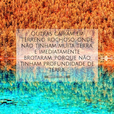 Picture 07 - Mateus 13:5 BSL - Outras caíram em terreno rochoso, onde não - Bible Verse Picture