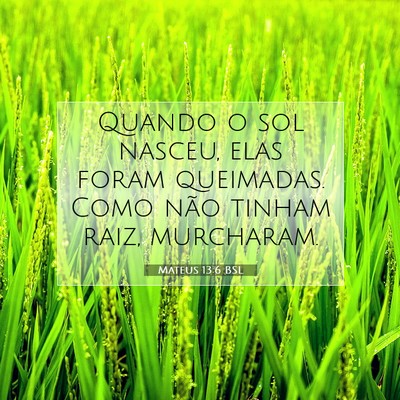 Picture 07 - Mateus 13:6 BSL - Quando o sol nasceu, elas foram queimadas. Como - Bible Verse Picture