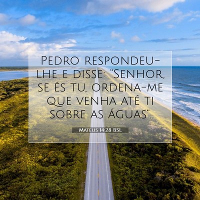 Picture 07 - Mateus 14:28 BSL - Pedro respondeu-lhe e disse: “Senhor, se és - Bible Verse Picture