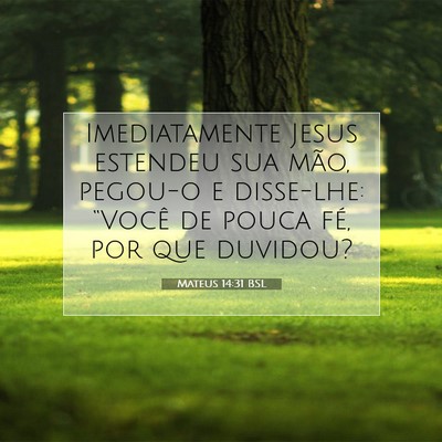 Picture 07 - Mateus 14:31 BSL - Imediatamente Jesus estendeu sua mão, pegou-o e - Bible Verse Picture