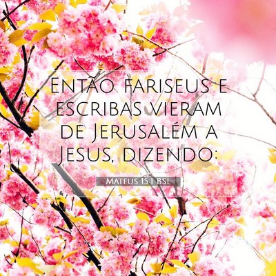 Picture 07 - Mateus 15:1 BSL - Então fariseus e escribas vieram de Jerusalém a - Bible Verse Picture