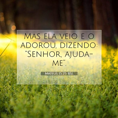 Picture 07 - Mateus 15:25 BSL - Mas ela veio e o adorou, dizendo: “Senhor, - Bible Verse Picture