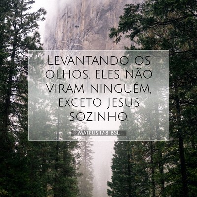 Picture 07 - Mateus 17:8 BSL - Levantando os olhos, eles não viram ninguém, - Bible Verse Picture