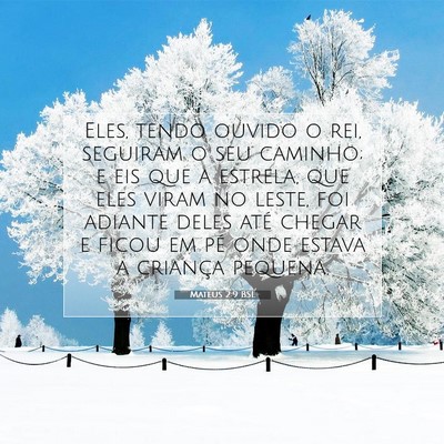 Picture 07 - Mateus 2:9 BSL - Eles, tendo ouvido o rei, seguiram o seu caminho; - Bible Verse Picture