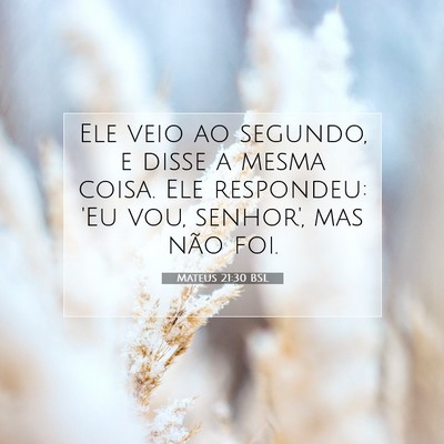 Picture 07 - Mateus 21:30 BSL - Ele veio ao segundo, e disse a mesma coisa. Ele - Bible Verse Picture