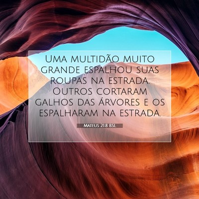 Picture 07 - Mateus 21:8 BSL - Uma multidão muito grande espalhou suas roupas - Bible Verse Picture
