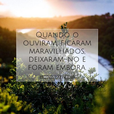 Picture 07 - Mateus 22:22 BSL - Quando o ouviram, ficaram maravilhados, - Bible Verse Picture