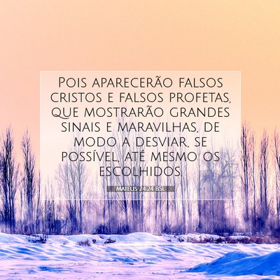 Picture 07 - Mateus 24:24 BSL - Pois aparecerão falsos cristos e falsos - Bible Verse Picture