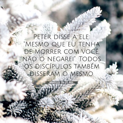 Picture 07 - Mateus 26:35 BSL - Peter disse a ele: “Mesmo que eu tenha de - Bible Verse Picture