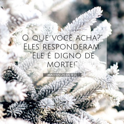 Picture 07 - Mateus 26:66 BSL - O que você acha?” Eles responderam: “Ele é - Bible Verse Picture