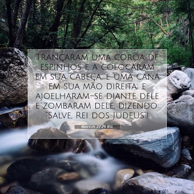 Picture 07 - Mateus 27:29 BSL - Trançaram uma coroa de espinhos e a colocaram em - Bible Verse Picture