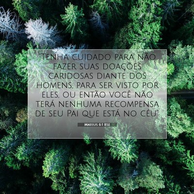 Picture 07 - Mateus 6:1 BSL - “Tenha cuidado para não fazer suas doações - Bible Verse Picture