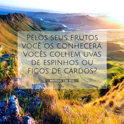 Picture 07 - Mateus 7:16 BSL - Pelos seus frutos você os conhecerá. Vocês - Bible Verse Picture
