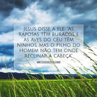 Picture 07 - Mateus 8:20 BSL - Jesus disse a ele: “As raposas têm buracos e - Bible Verse Picture