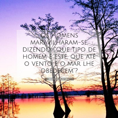 Picture 07 - Mateus 8:27 BSL - Os homens maravilharam-se, dizendo: “Que tipo - Bible Verse Picture