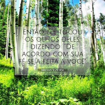 Picture 07 - Mateus 9:29 BSL - Então ele tocou os olhos deles, dizendo: “De - Bible Verse Picture