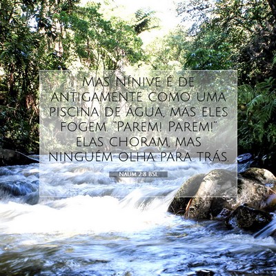 Picture 07 - Naum 2:8 BSL - Mas Nínive é de antigamente como uma piscina de - Bible Verse Picture