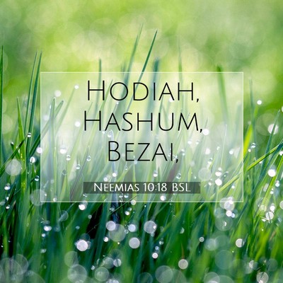 Picture 07 - Neemias 10:18 BSL - Hodiah, Hashum, - Bible Verse Picture