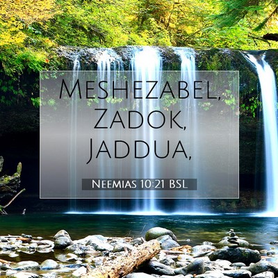Picture 07 - Neemias 10:21 BSL - Meshezabel, Zadok, - Bible Verse Picture