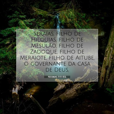 Picture 07 - Neemias 11:11 BSL - Seraías, filho de Hilquias, filho de Mesulão, - Bible Verse Picture