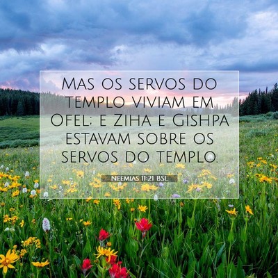 Picture 07 - Neemias 11:21 BSL - Mas os servos do templo viviam em Ofel; e Ziha e - Bible Verse Picture