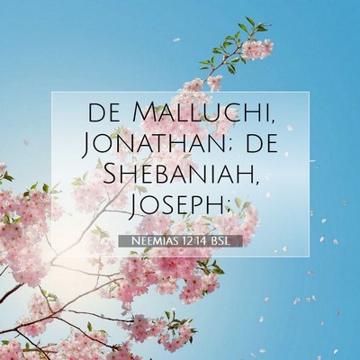 Picture 07 - Neemias 12:14 BSL - de Malluchi, Jonathan; de Shebaniah, - Bible Verse Picture
