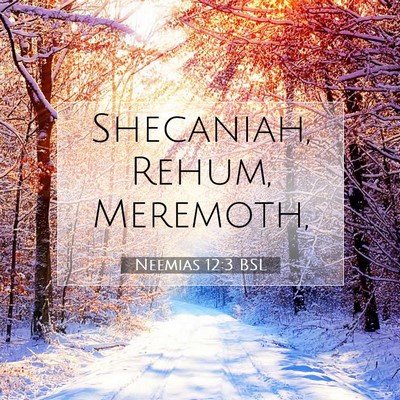 Picture 07 - Neemias 12:3 BSL - Shecaniah, Rehum, - Bible Verse Picture