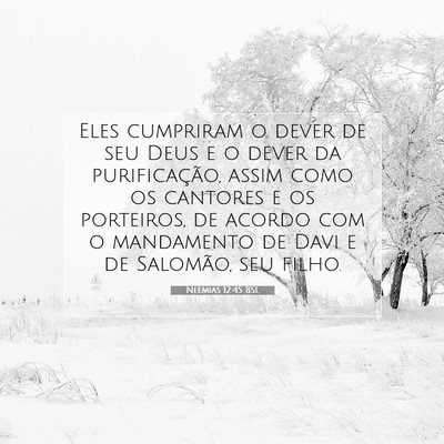 Picture 07 - Neemias 12:45 BSL - Eles cumpriram o dever de seu Deus e o dever da - Bible Verse Picture