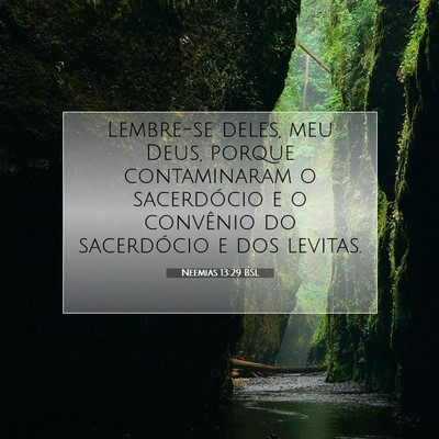 Picture 07 - Neemias 13:29 BSL - Lembre-se deles, meu Deus, porque contaminaram o - Bible Verse Picture