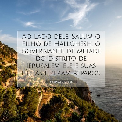 Picture 07 - Neemias 3:12 BSL - Ao lado dele, Salum o filho de Hallohesh, o - Bible Verse Picture