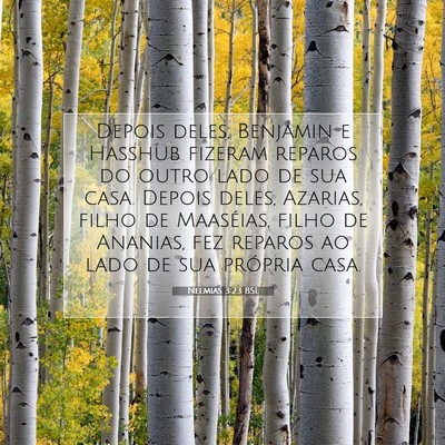 Picture 07 - Neemias 3:23 BSL - Depois deles, Benjamin e Hasshub fizeram reparos - Bible Verse Picture