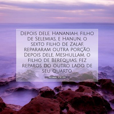 Picture 07 - Neemias 3:30 BSL - Depois dele, Hananiah, filho de Selemias, e - Bible Verse Picture