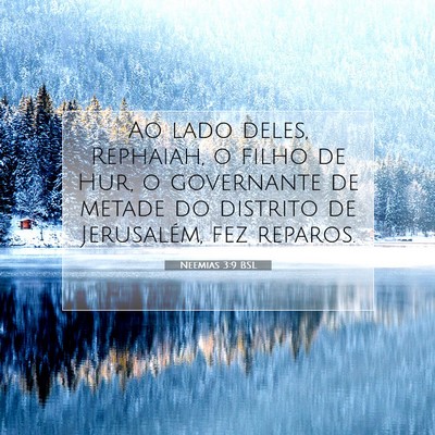 Picture 07 - Neemias 3:9 BSL - Ao lado deles, Rephaiah, o filho de Hur, o - Bible Verse Picture