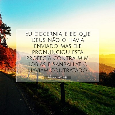 Picture 07 - Neemias 6:12 BSL - Eu discernia, e eis que Deus não o havia - Bible Verse Picture