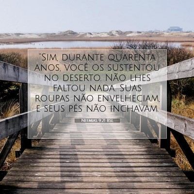 Picture 07 - Neemias 9:21 BSL - “Sim, durante quarenta anos, você os sustentou - Bible Verse Picture