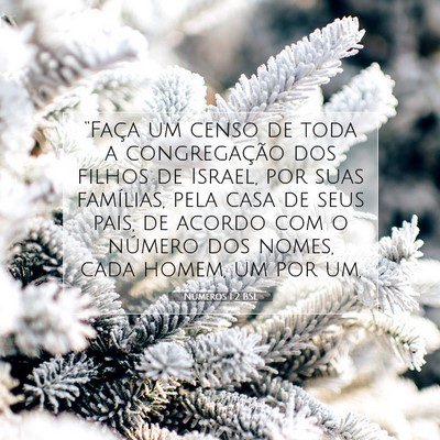 Picture 07 - Números 1:2 BSL - “Faça um censo de toda a congregação dos - Bible Verse Picture
